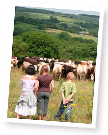 Children visiting a farm